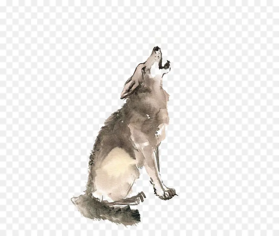 серый волк，футболка PNG