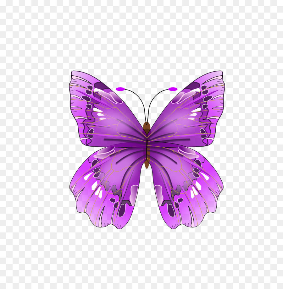 Сиреневые бабочки