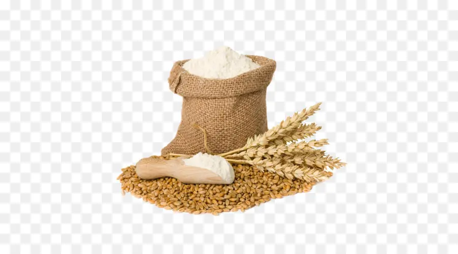 атта мука，общие пшеница PNG