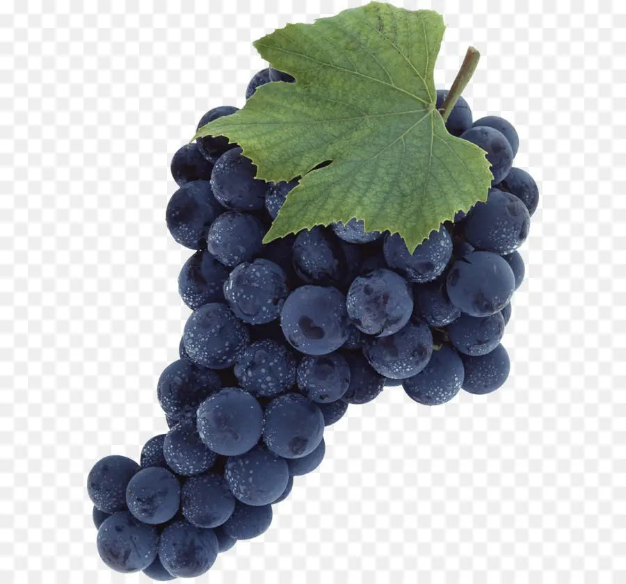 общие виноград，вина PNG