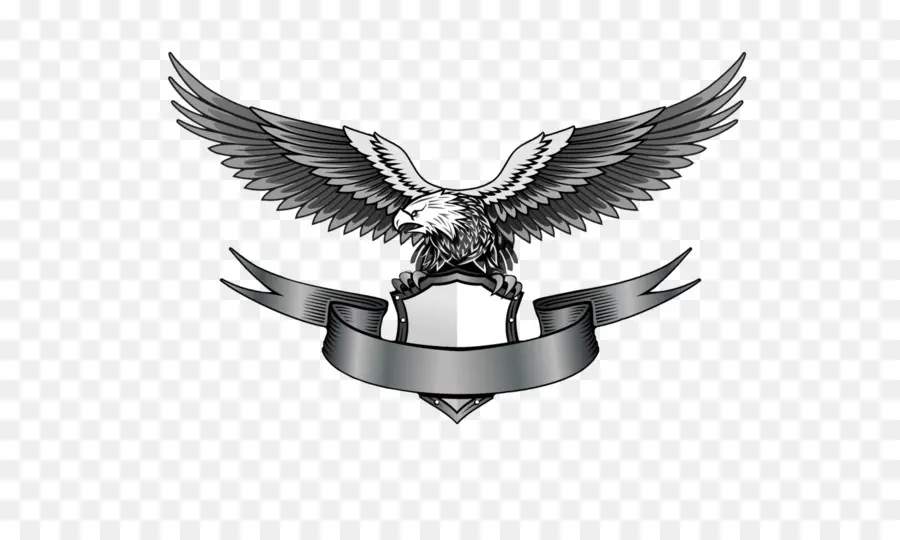 лысый Орел，логотип PNG