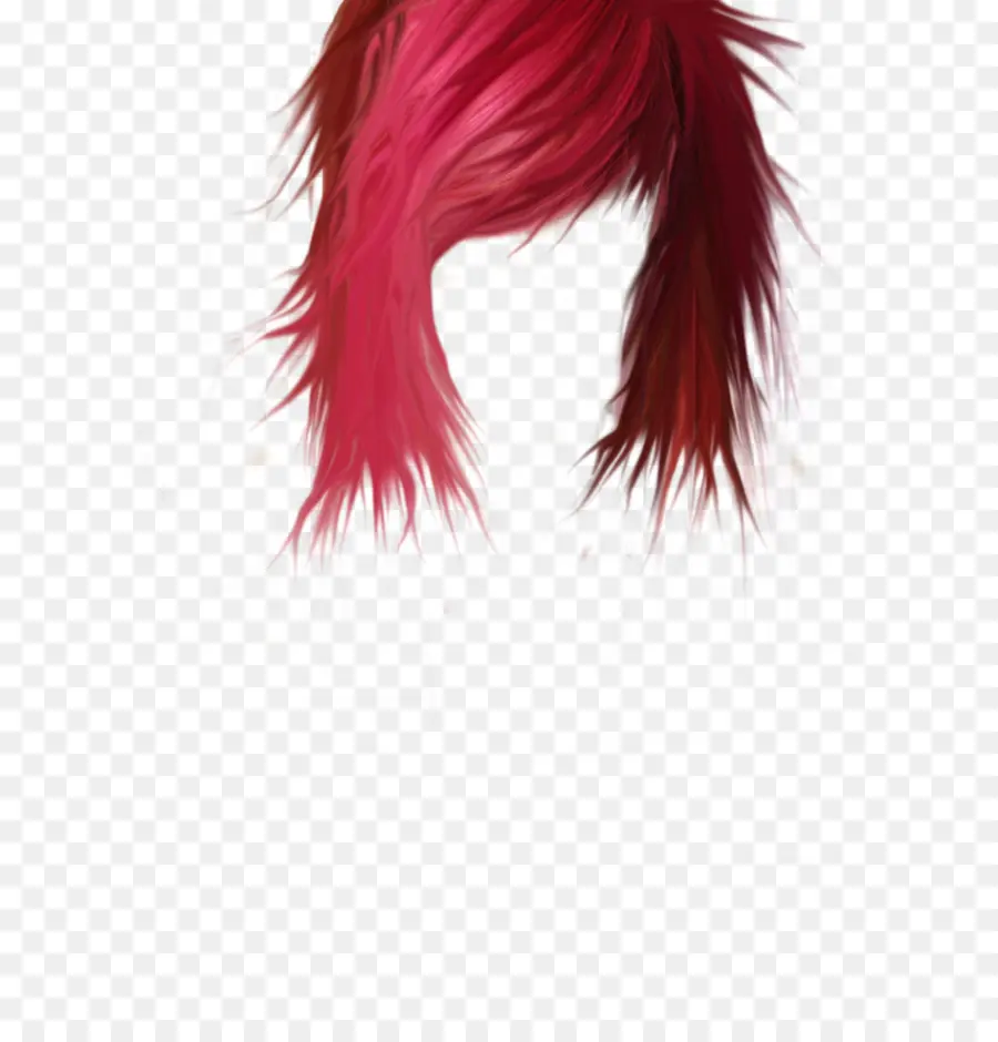 волосы，человеческих волос цвет PNG