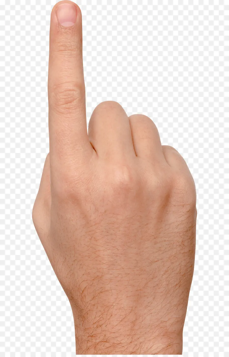 палец，указательный палец PNG