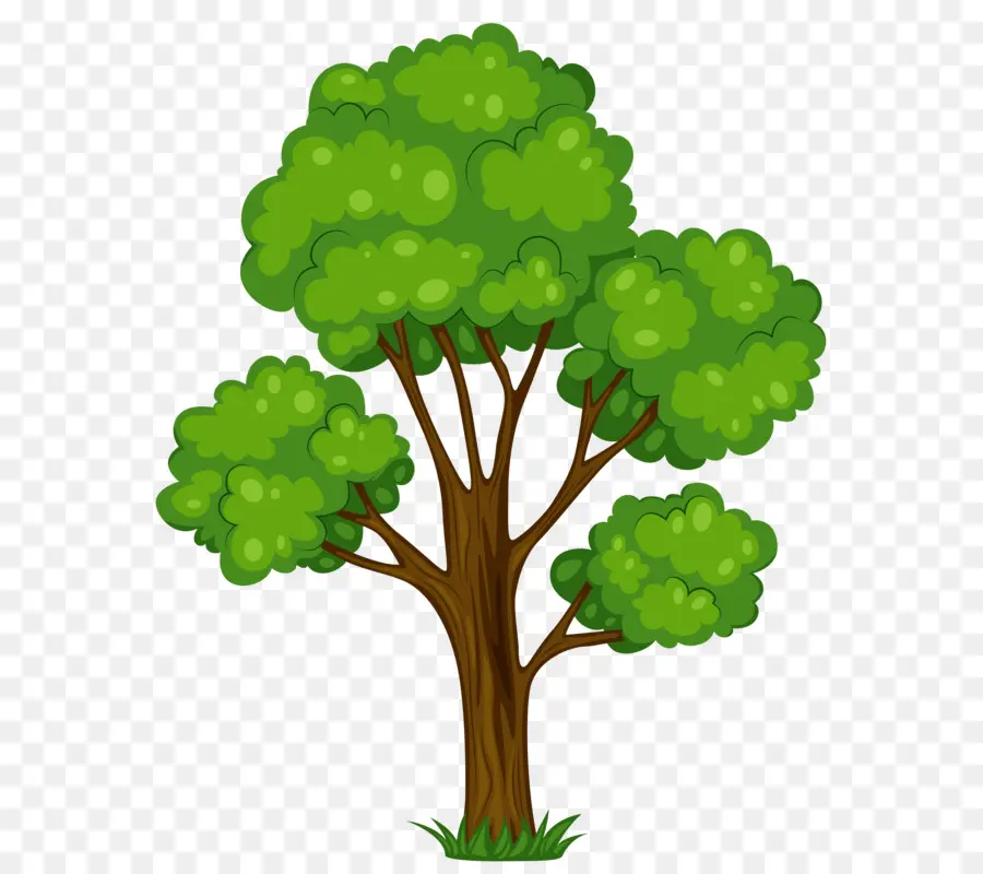 дерево，безвозмездное PNG