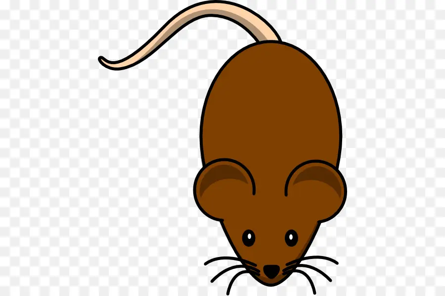 компьютерные мыши，мышь PNG