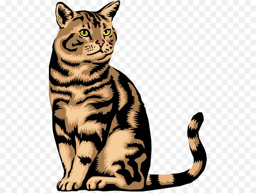 сиамская кошка，Гавана Браун PNG