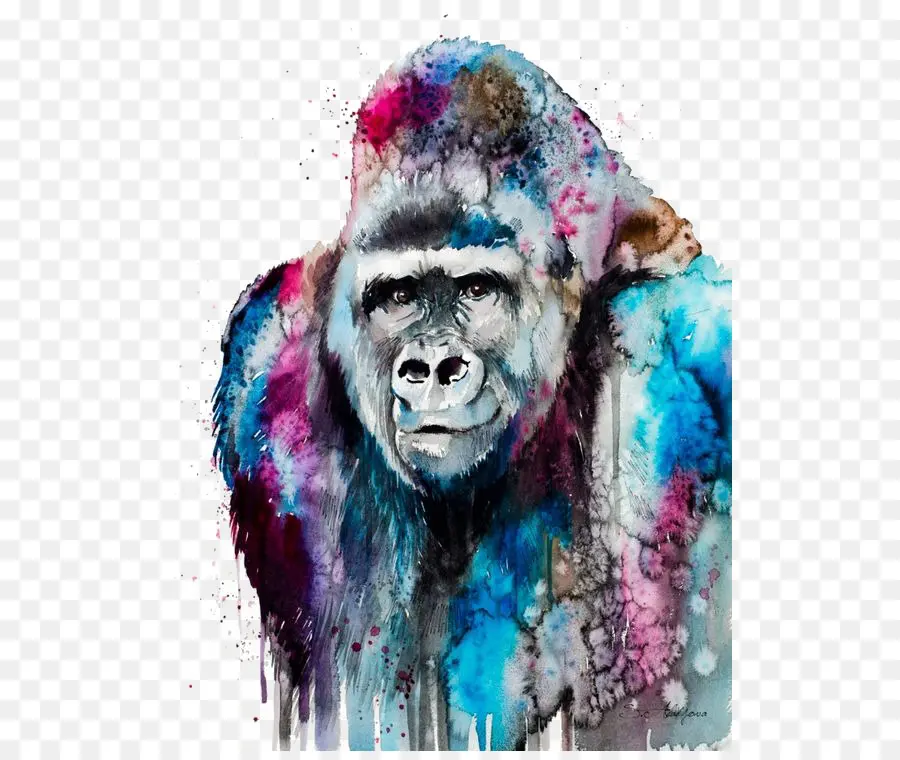 Западная равнинная горилла，живопись PNG