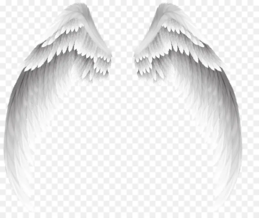 ангел，крыло PNG