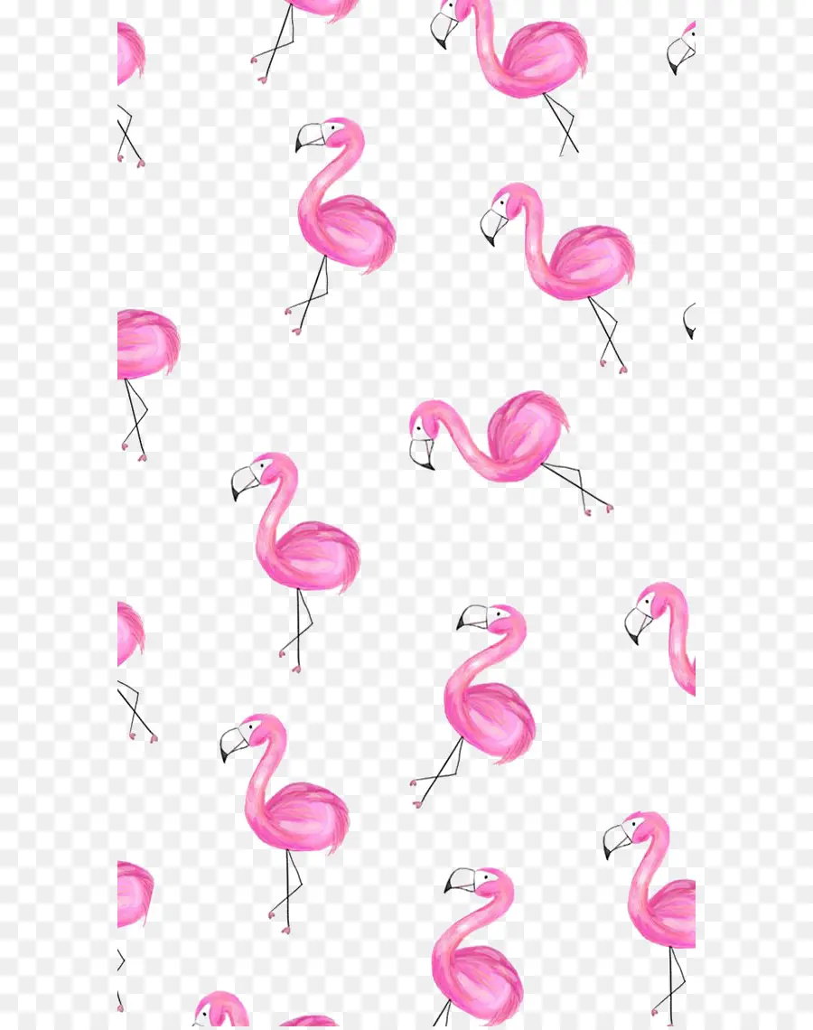 фламинго，большой фламинго PNG