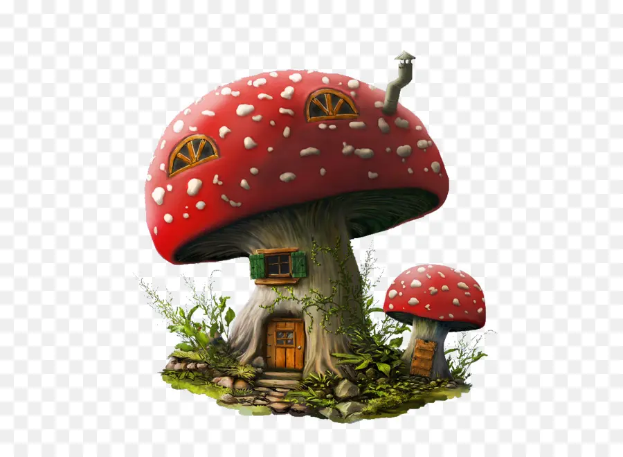 гриб，рисунок PNG