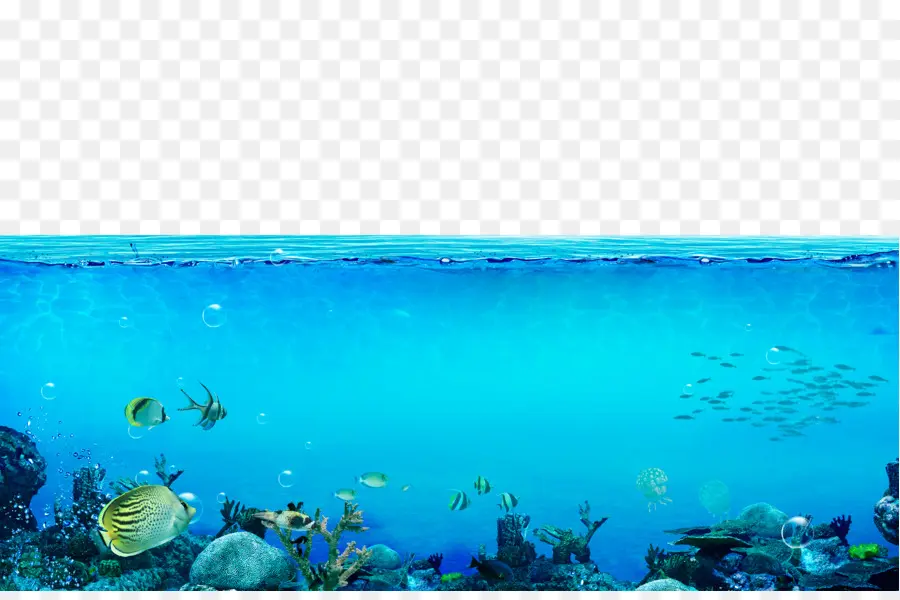 подводный，море PNG