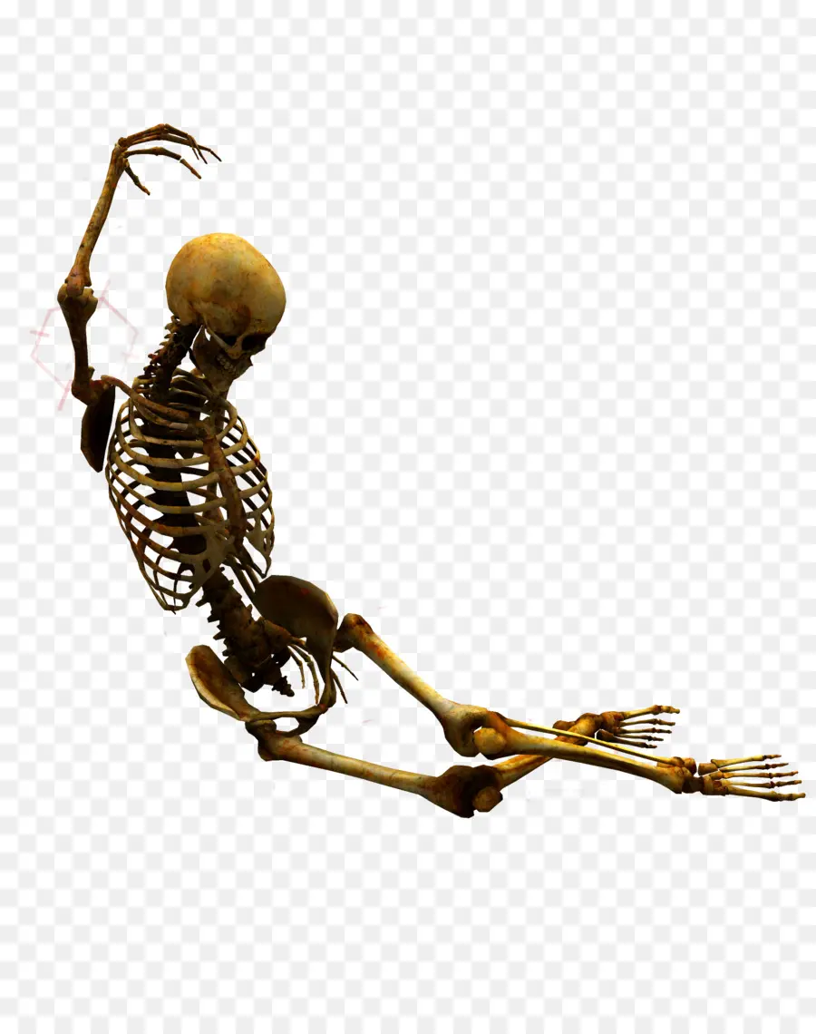 скелетон на зимних Олимпийских играх 2018 женщин，скелет PNG