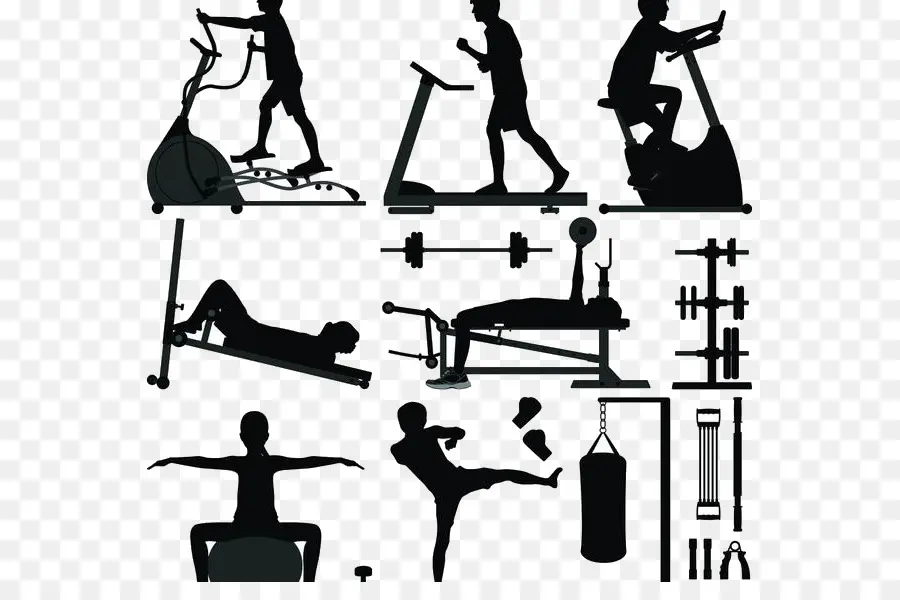 физические упражнения，обучение веса PNG
