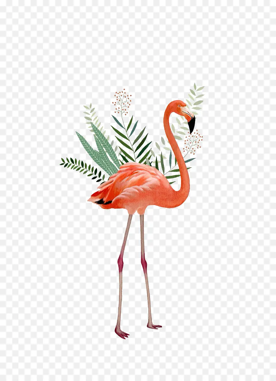 фламинго，живопись PNG