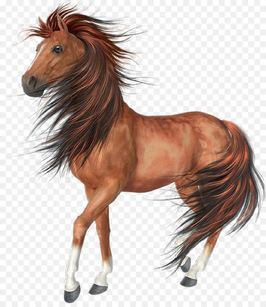 арабская лошадь，ахалтекинские PNG