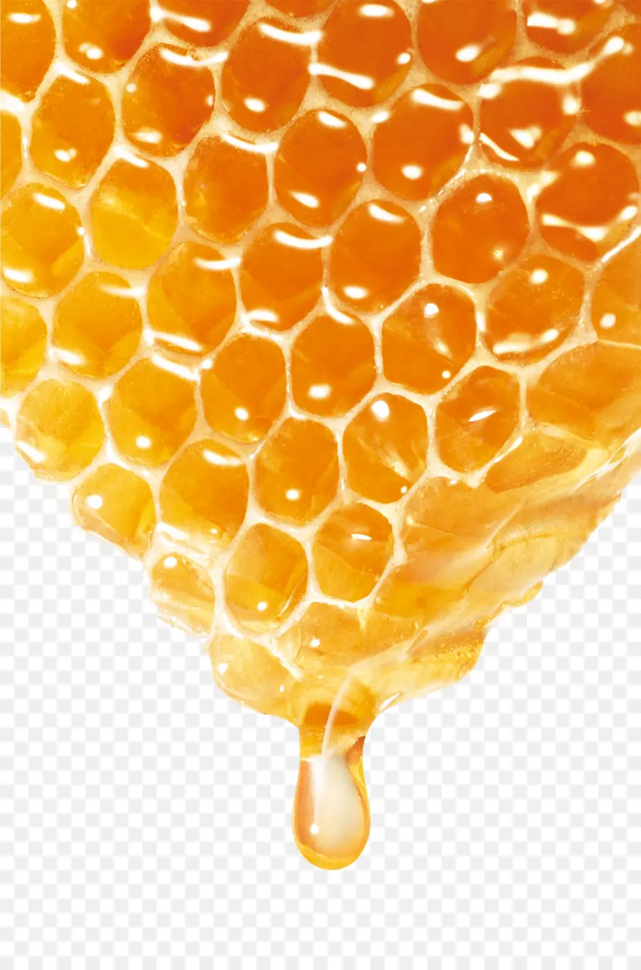 Пчелка，мед PNG