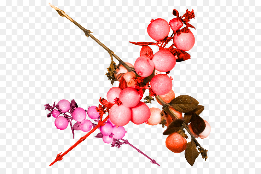 Pomegranate，Fruit PNG