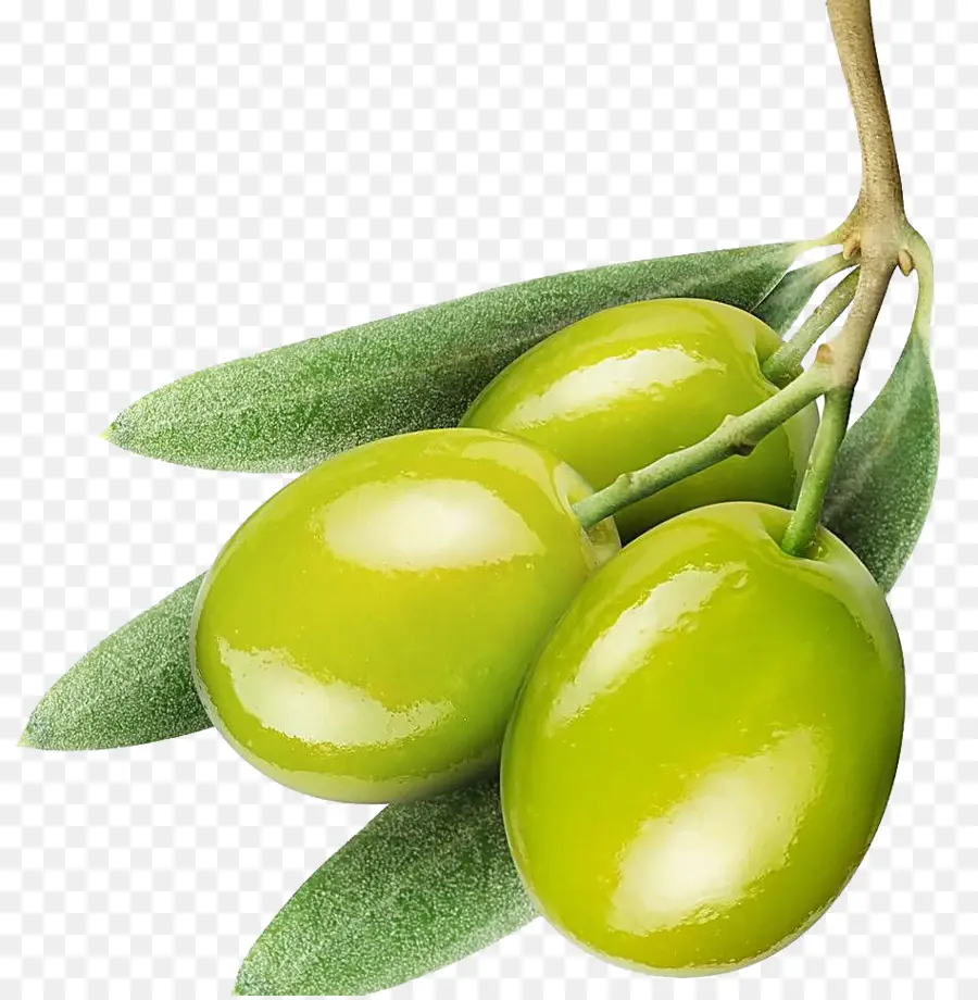 оливковое，оливковое масло PNG