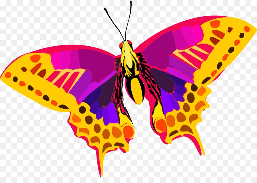 бабочка，Pixabay PNG