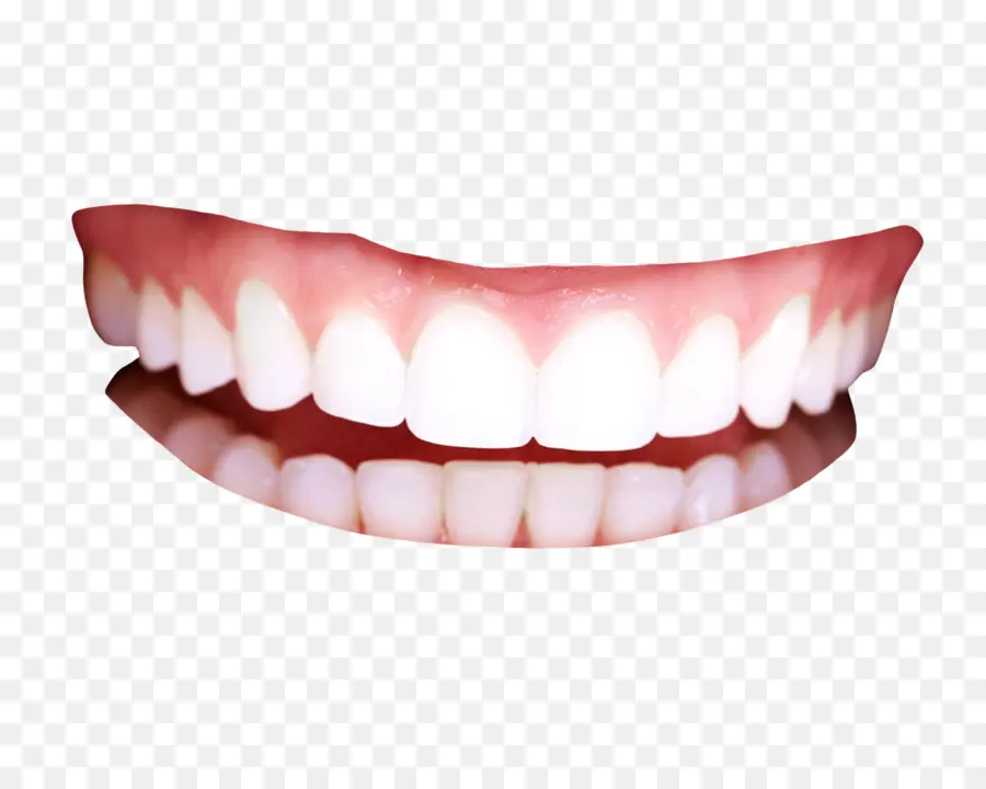 зуб，человеческий зуб PNG