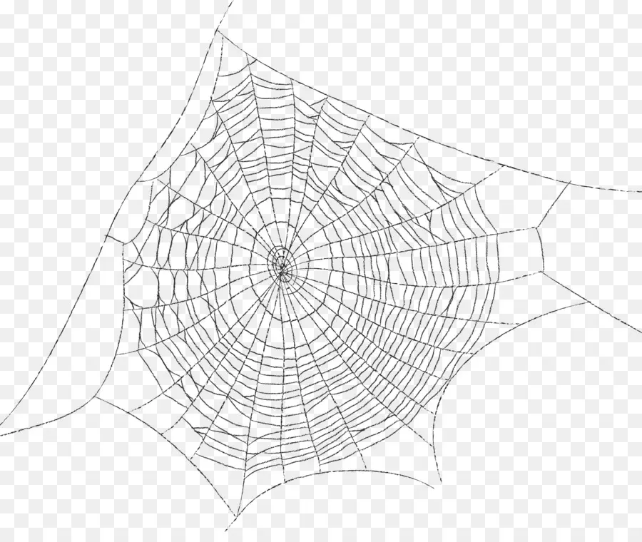 веб паук，паук PNG