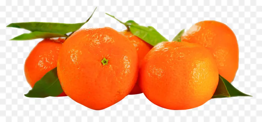 оранжевый，мандариновый PNG