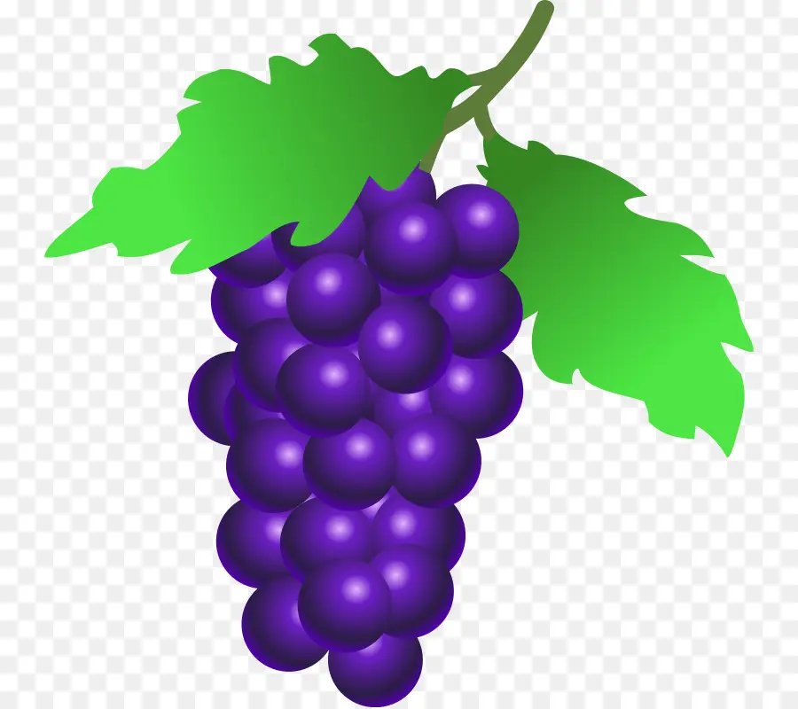 Common Grape Vine，Wine PNG