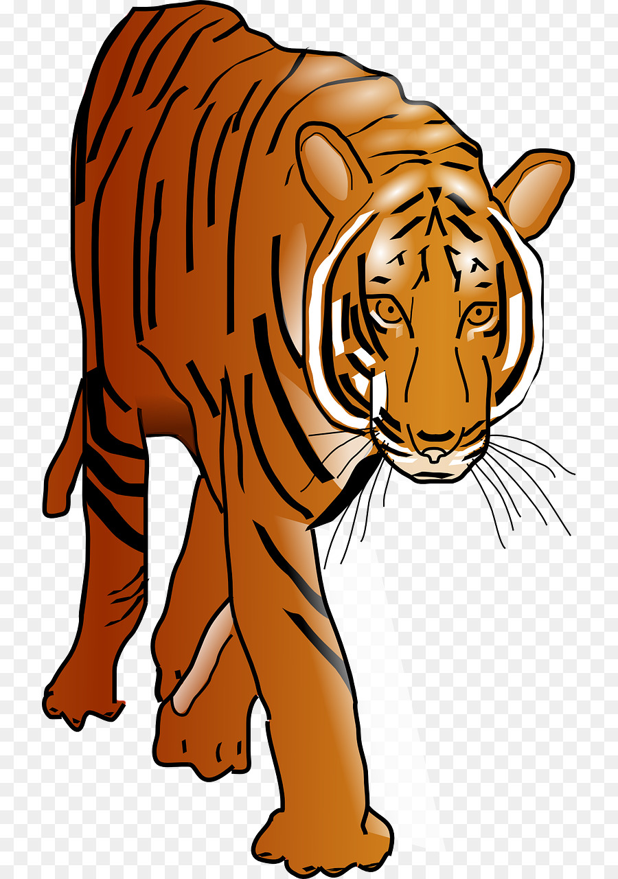 Бенгальский тигр мультяшный