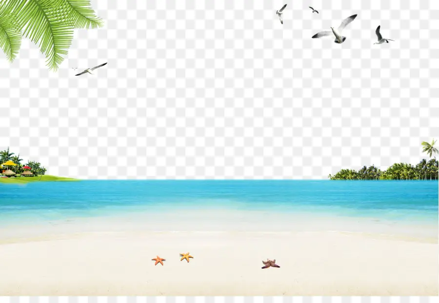 песчаный пляж，пляж океан PNG