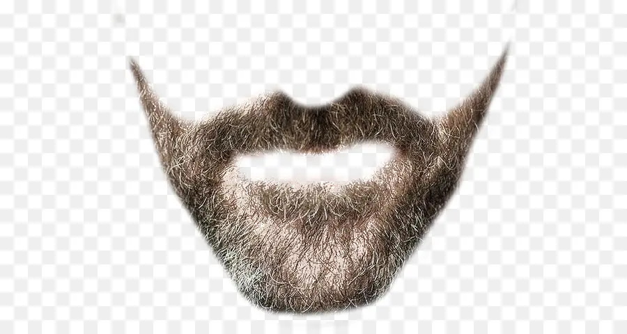 борода，Альфа композитинг PNG