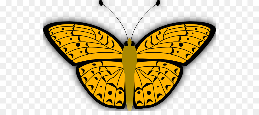 Бабочка，насекомое PNG