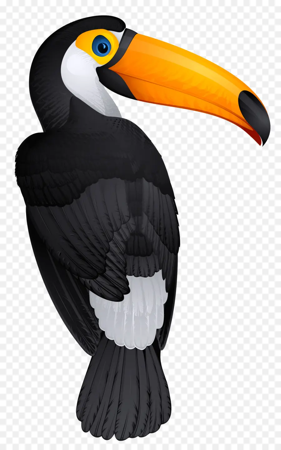 птица，тукан PNG