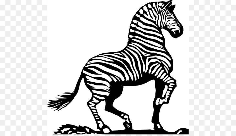 зебра，лошадь PNG