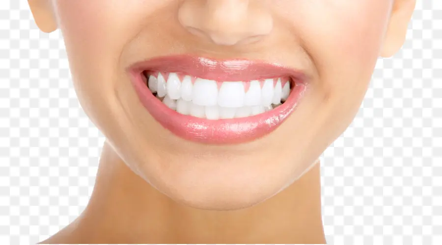 отбеливание зубов，человеческий зуб PNG