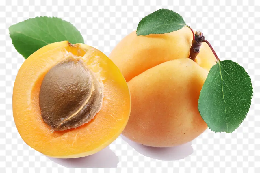 абрикос，штрудель PNG