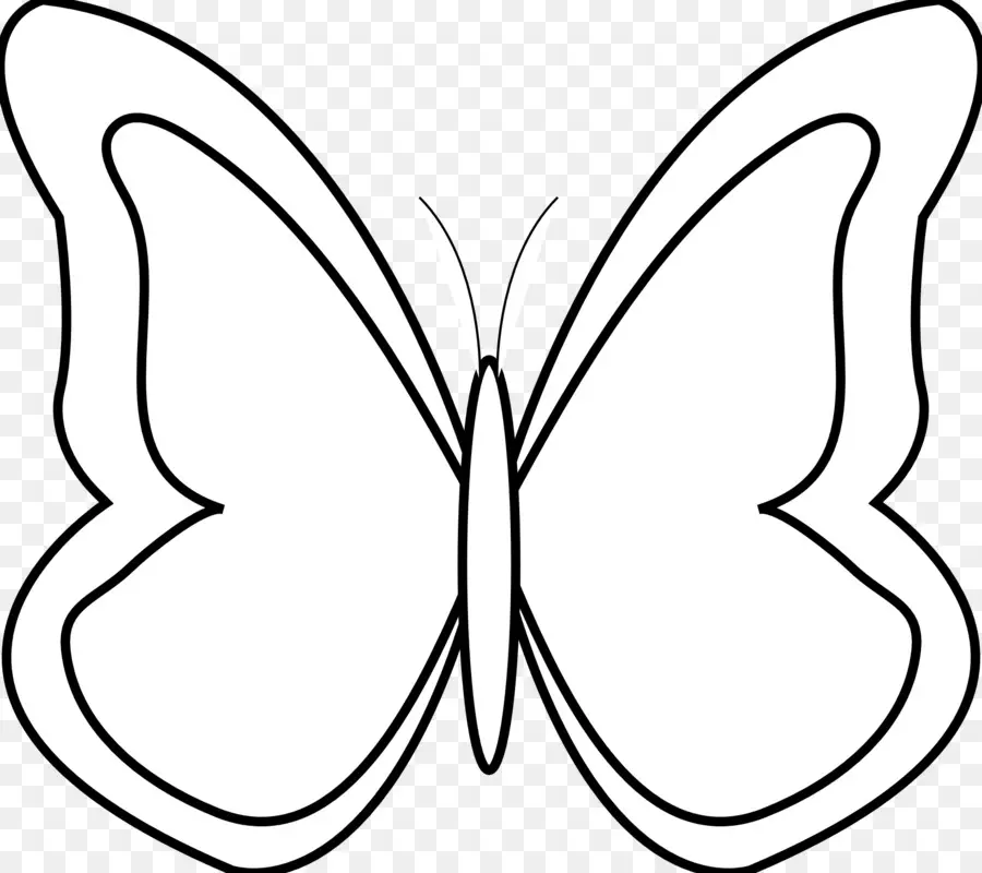 бабочка，белый PNG