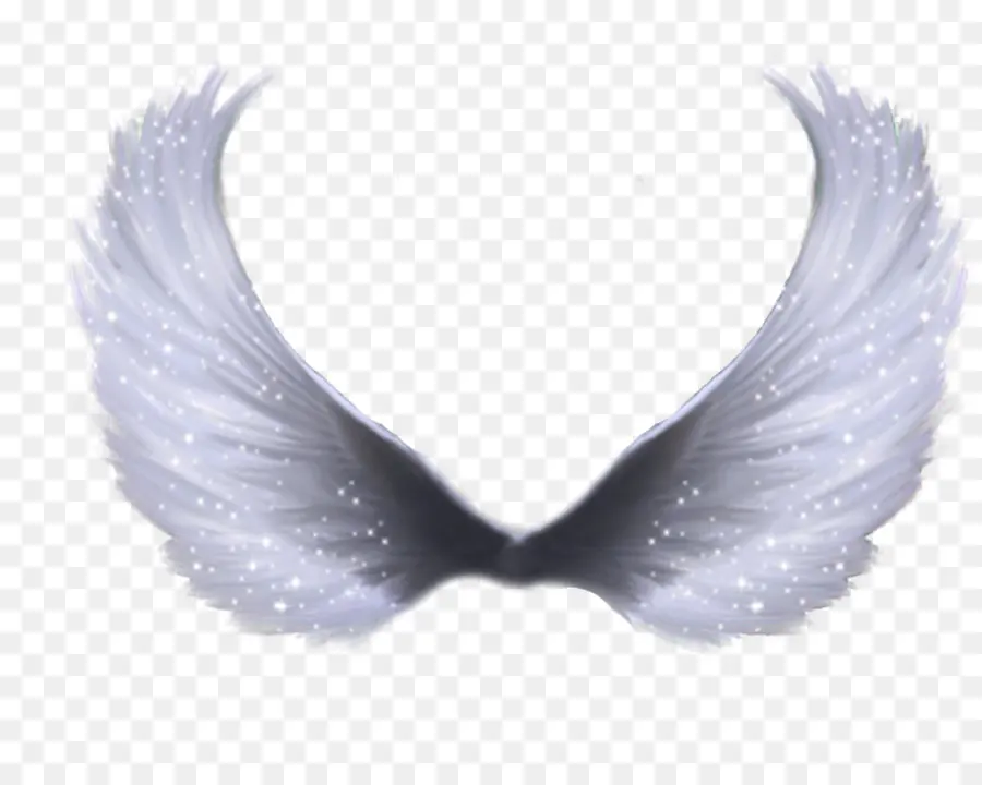 крыло，ангел PNG