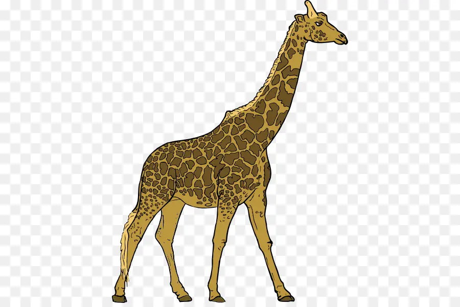 жираф，травоядное PNG