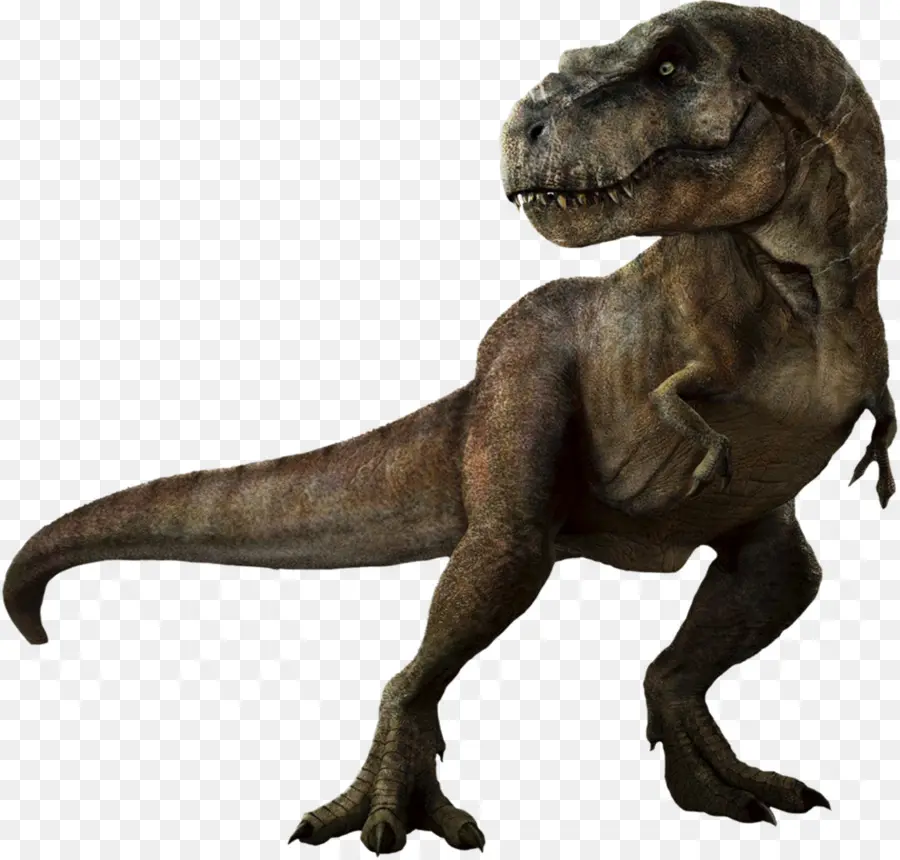 тираннозавра，динозавр PNG