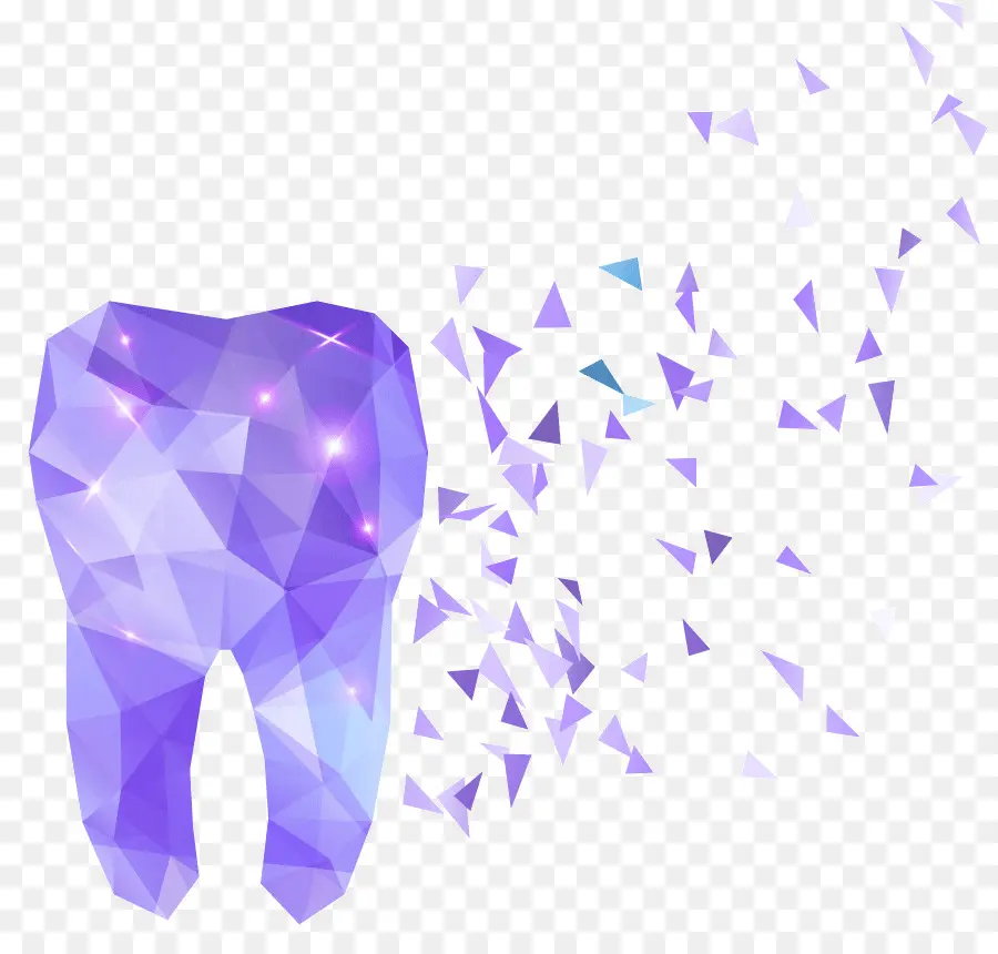 зуб，человеческий зуб PNG