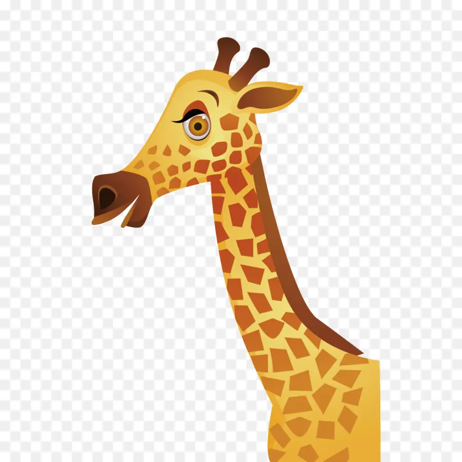 жираф，гиппопотам PNG