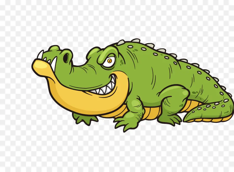крокодил，Аллигатор PNG