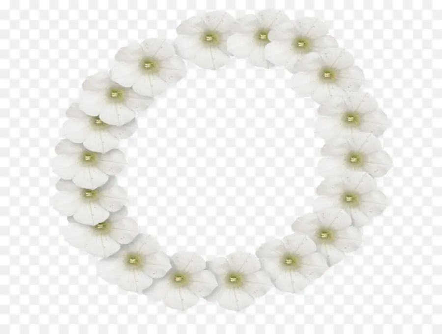 белый，цветок PNG