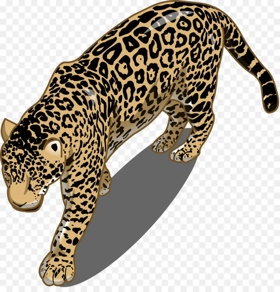 леопард，Ягуар PNG
