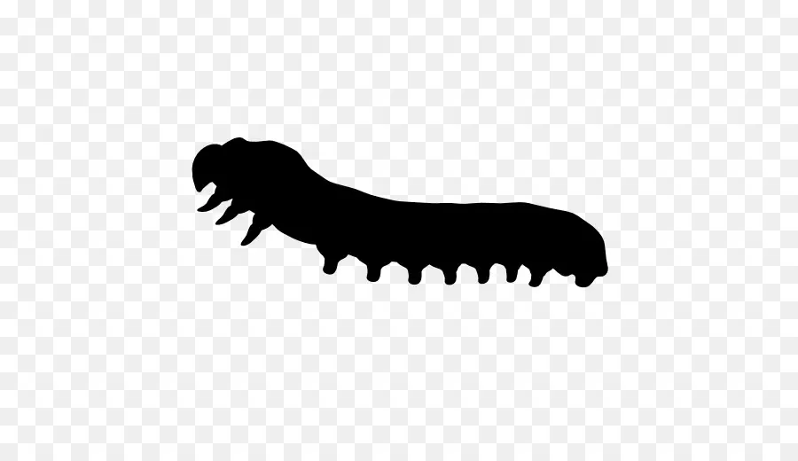 червь，животное PNG