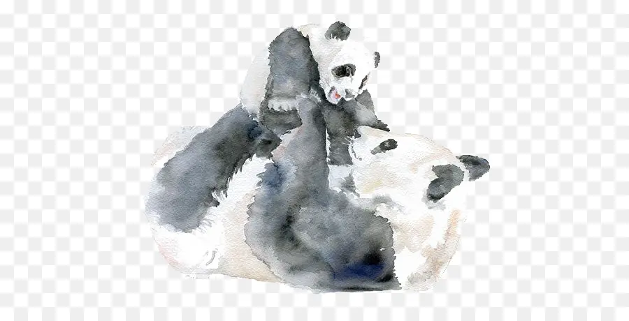 гигантская панда，акварельная живопись PNG
