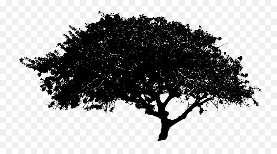дерево，пиксель PNG
