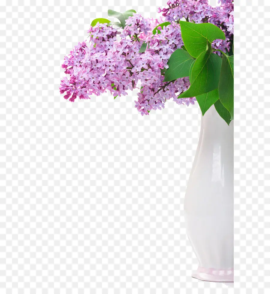 цветок，сиреневый PNG