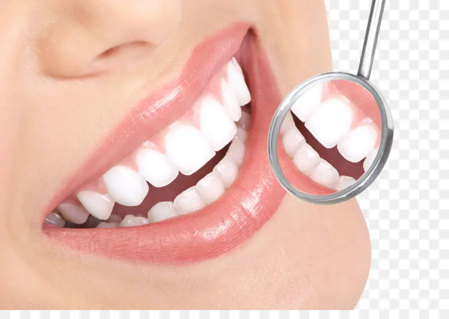 зуб，отбеливание зубов PNG