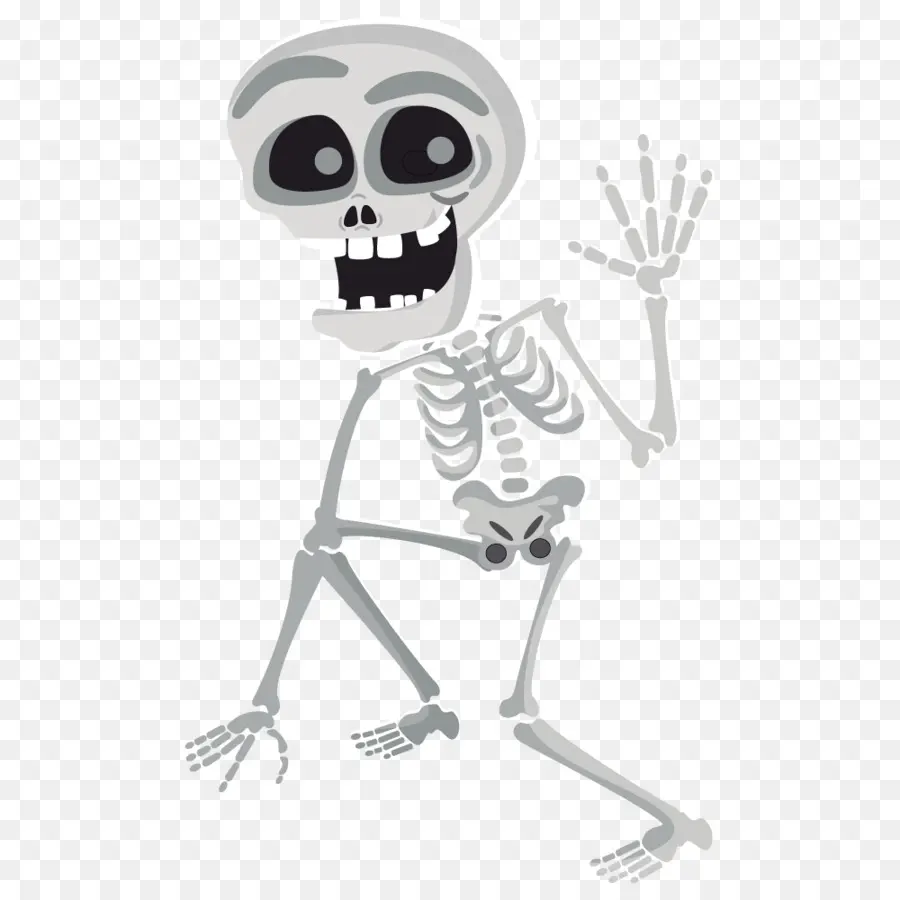 скелет человека，скелет PNG